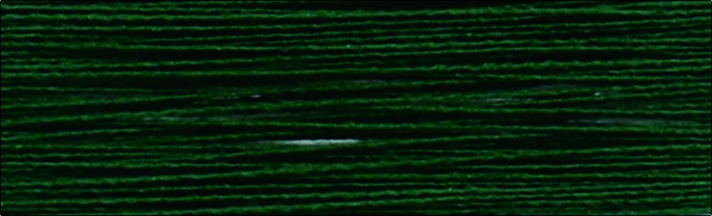 C647木綠