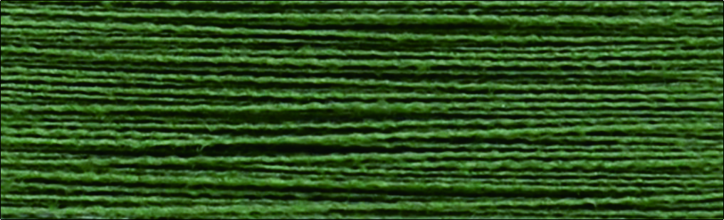 C669中軍綠