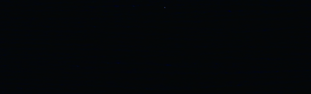 D715中寶蘭