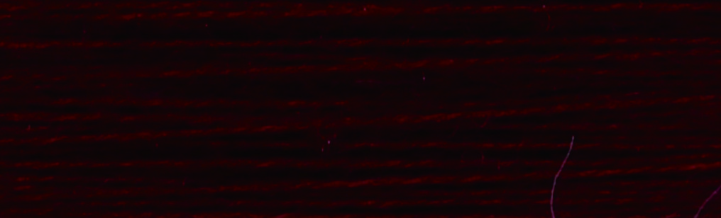 V768暗深紅